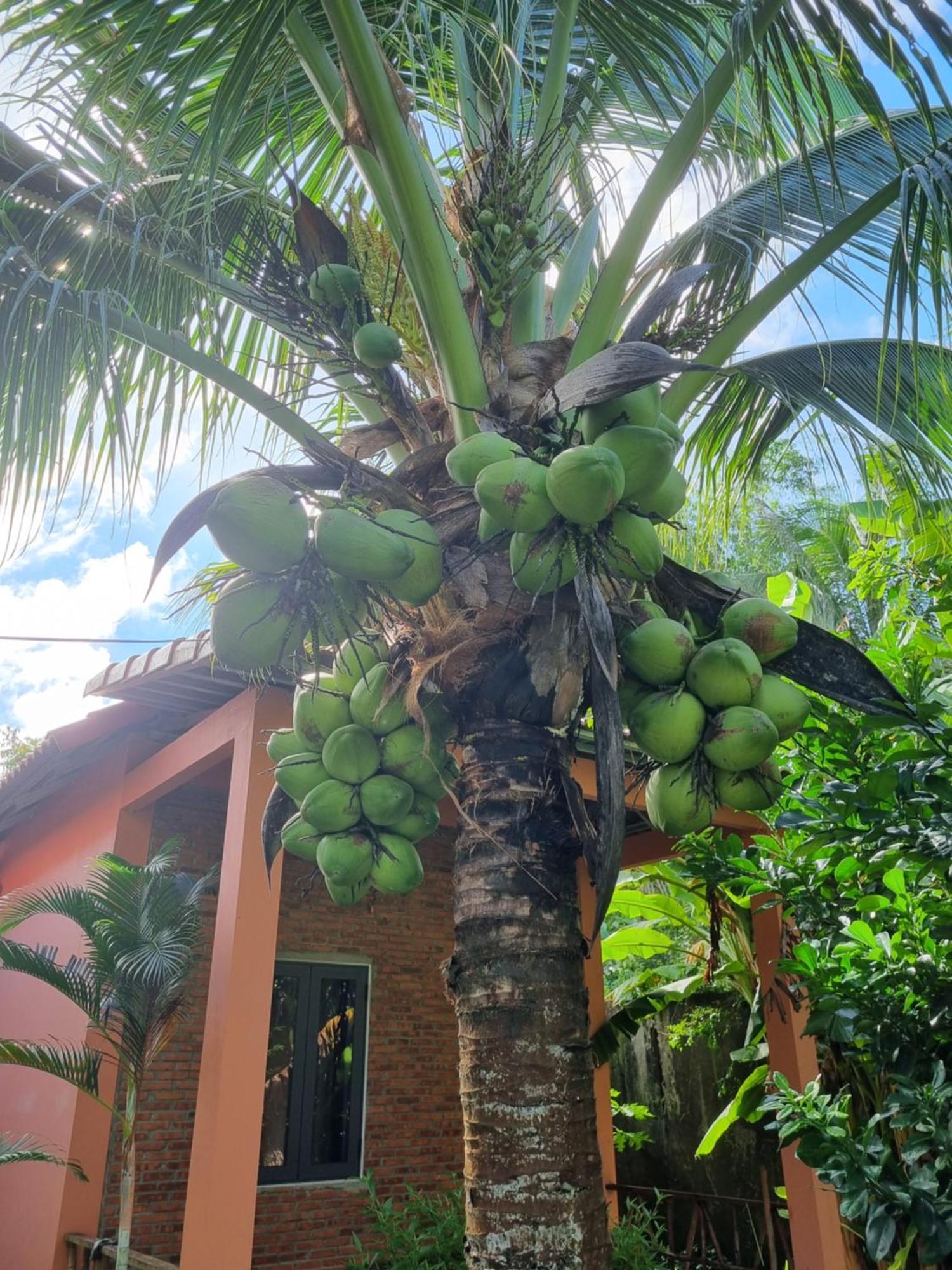 Anan Boutique Bungalows With Private Kitchen Phú Quốc Exterior foto